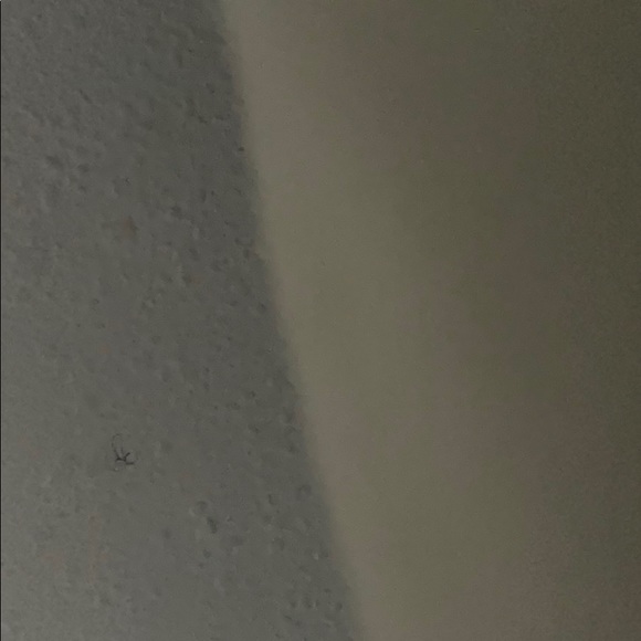 Meet your Posher, Evan - Picture 1 of 1